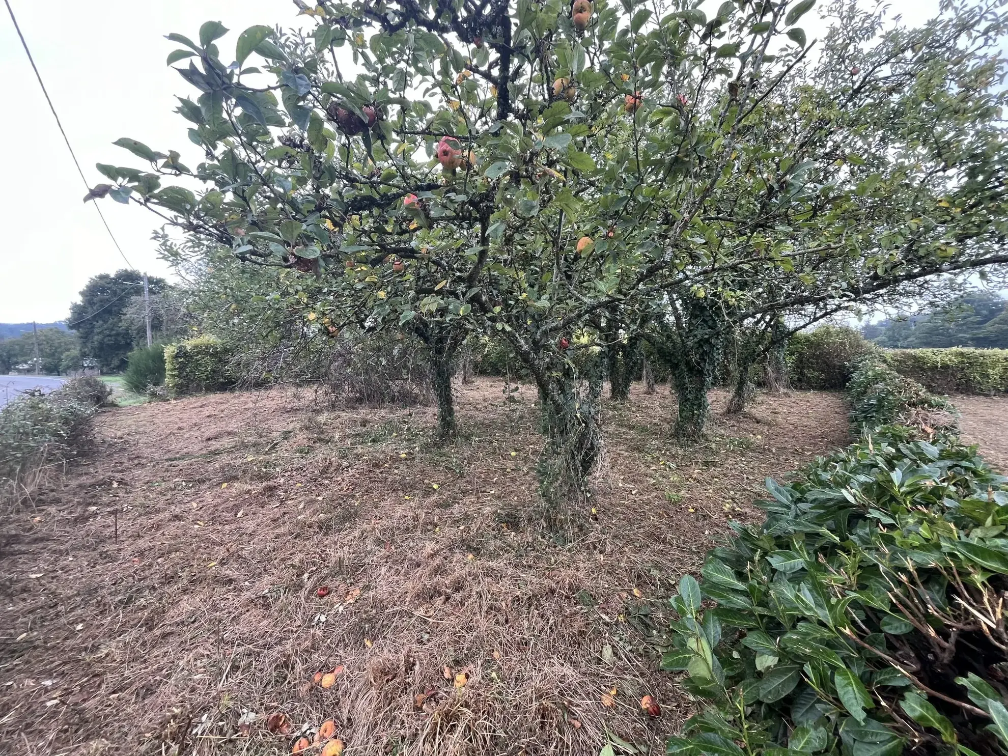 Terrain à vendre à Augan - 537 m² pour projet immobilier 