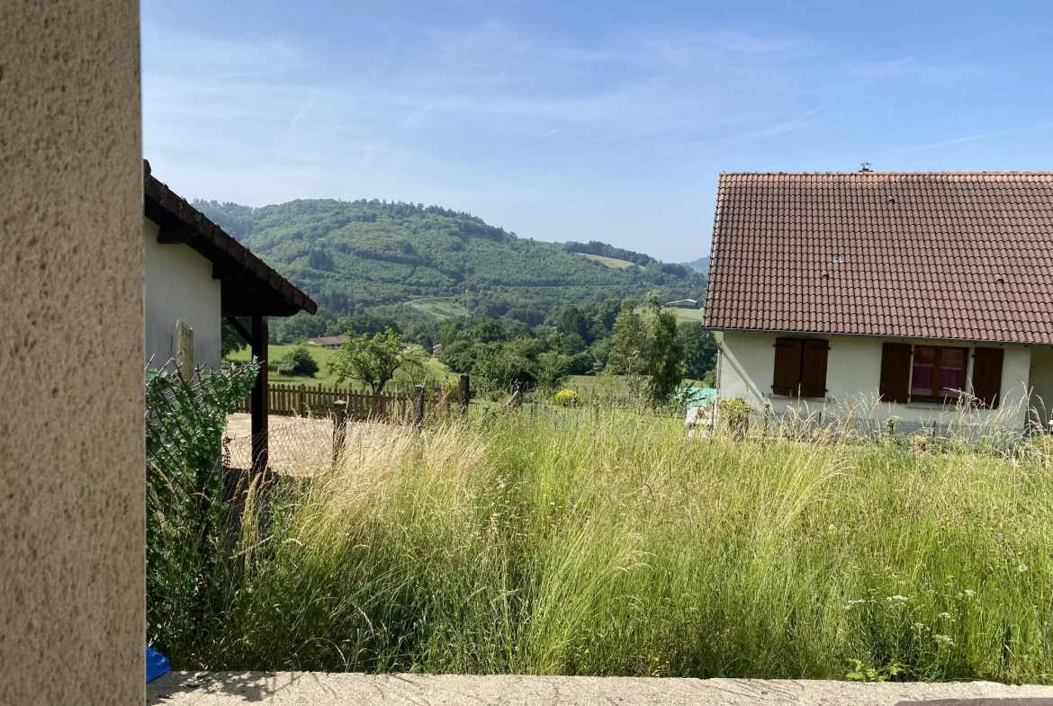 Maison en pierre rénovée avec jardin et terrasse sud à Saint-Julien-le-Petit 