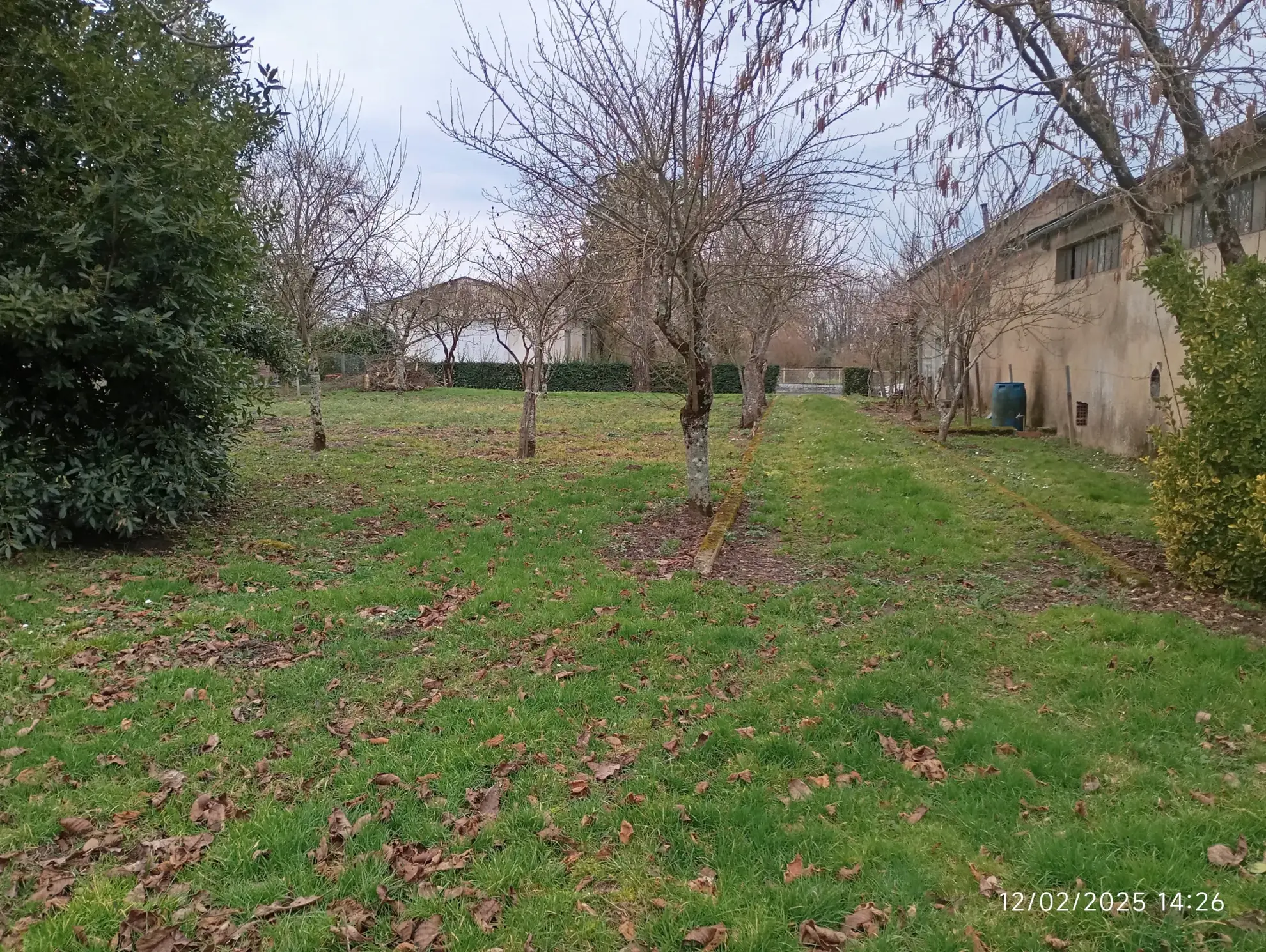 Terrain constructible de 1170 m² à Joussé avec cabane et arbres fruitiers 