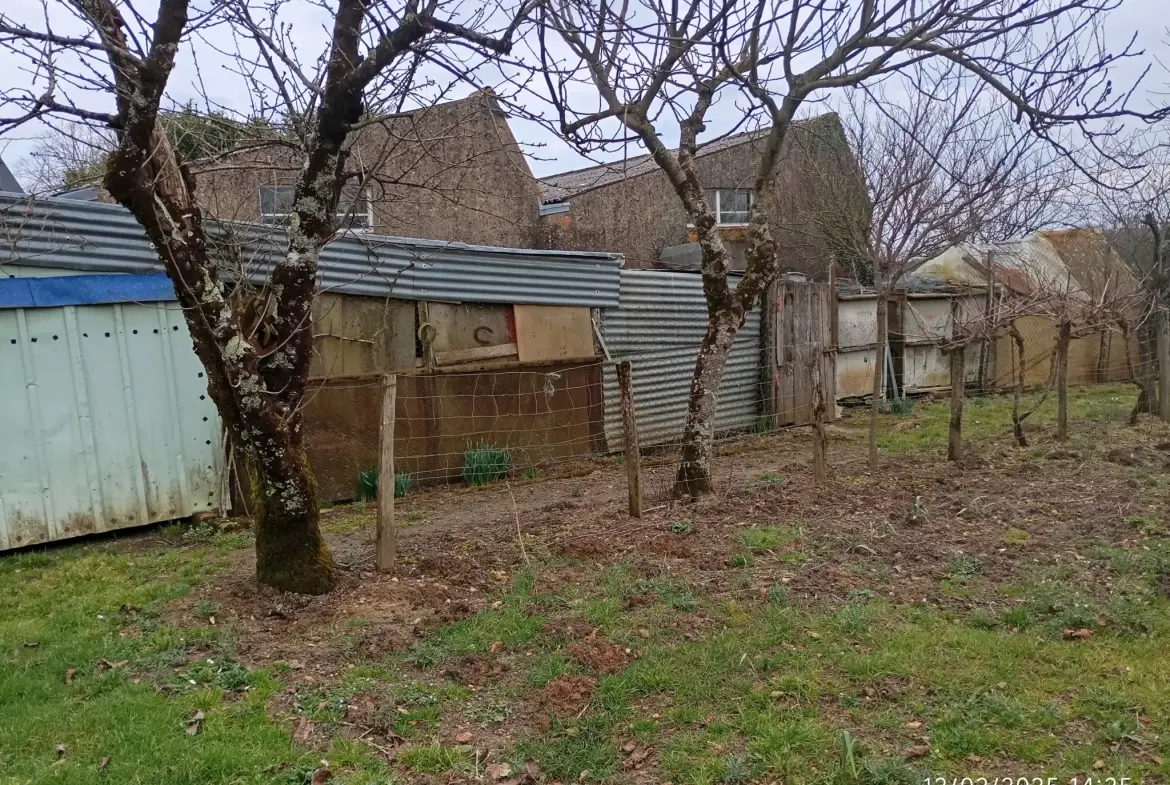 Terrain constructible de 1170 m² à Joussé avec cabane et arbres fruitiers 