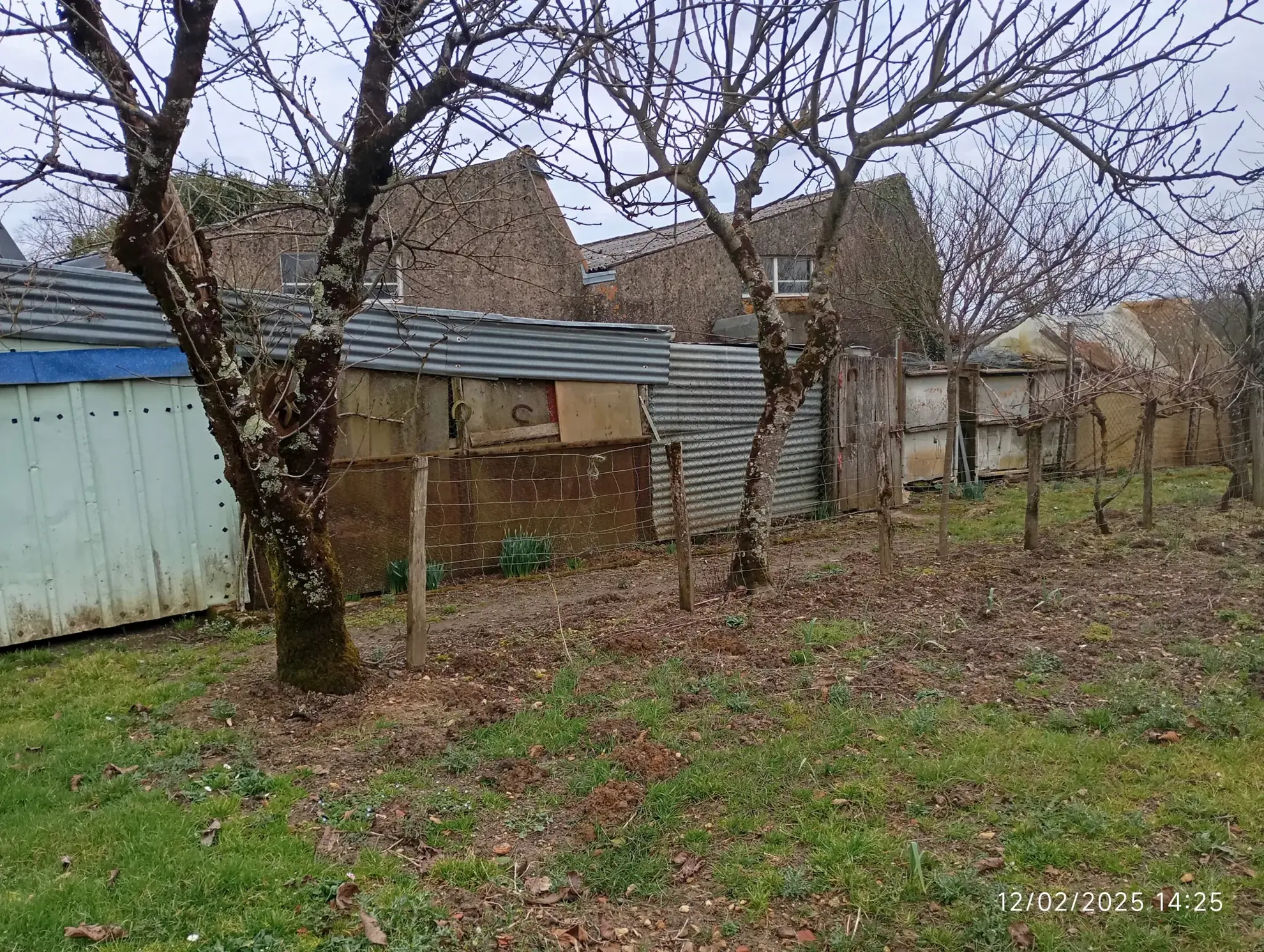 Terrain constructible de 1170 m² à Joussé avec cabane et arbres fruitiers 