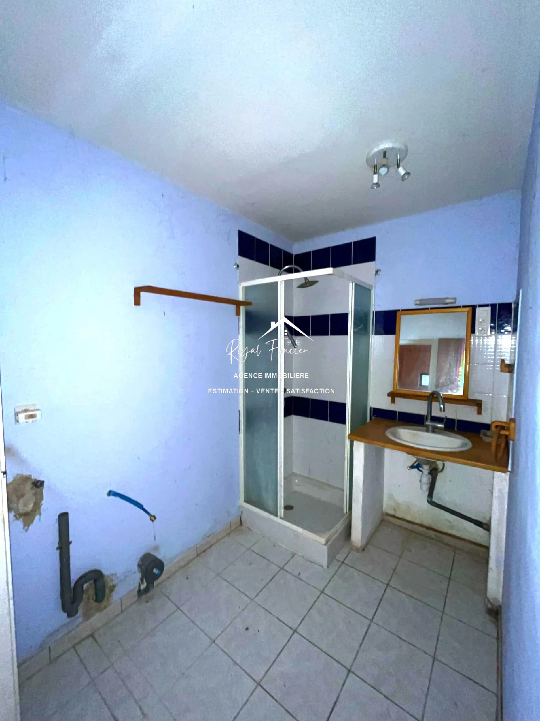 Salle d'eau Maison de campagne authentique à Descartes avec jardin et potentiel de rénovation 