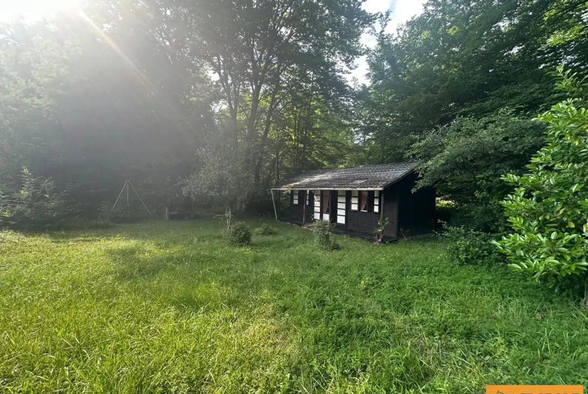 Chalet à vendre à Pierrefitte-ès-Bois sur terrain de 3516 m² 