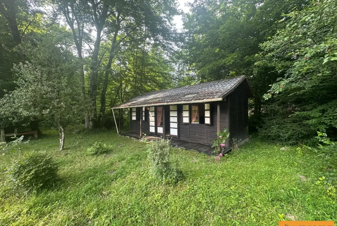 Chalet à vendre à Pierrefitte-ès-Bois sur terrain de 3516 m² 