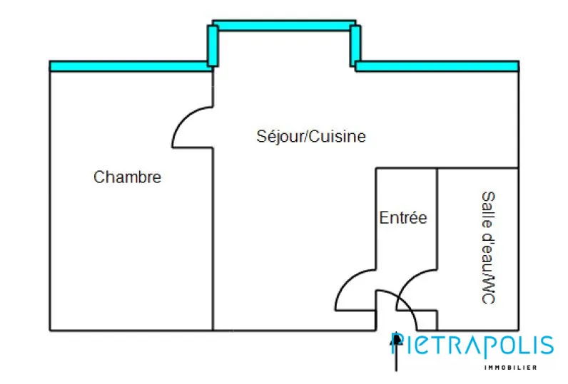 Appartement rénové 1 chambre à Saint-Priest avec cave et parking, lumineux et sécurisé 