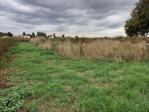 Terrain constructible de 828 m² à Vraiville avec viabilisation prête