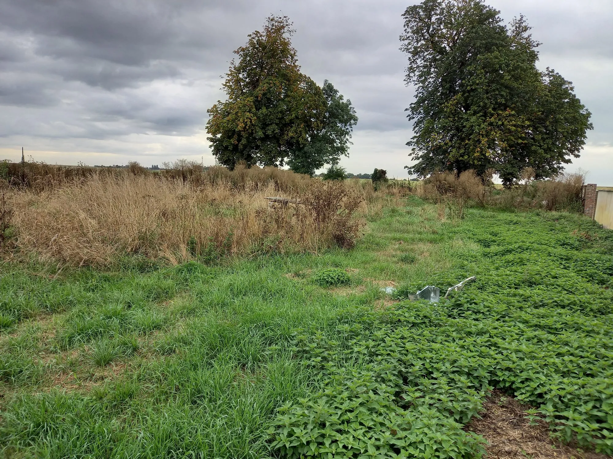 Terrain constructible de 828 m² à Vraiville avec viabilisation prête 
