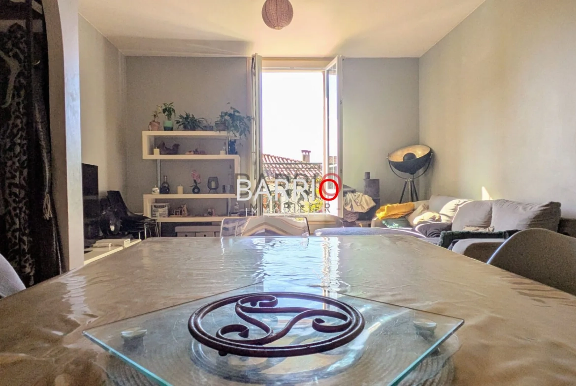 Superbe appartement duplex à Laroque-des-Albères avec parking et vue charmante 