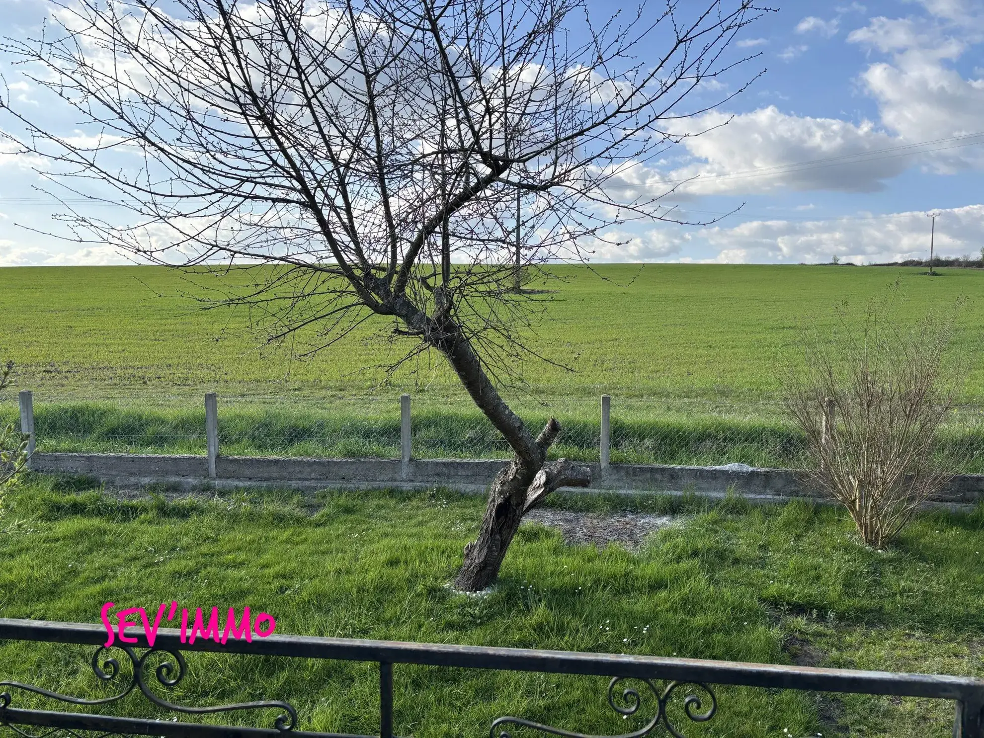 Maison à vendre à Billy – Vue dégagée, terrain clos, potentiel rénovation 