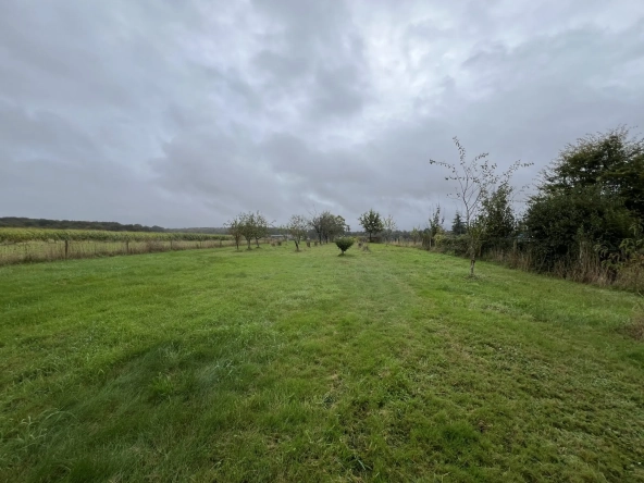 Terrain constructible plat à Nouzilly avec vue sur la nature