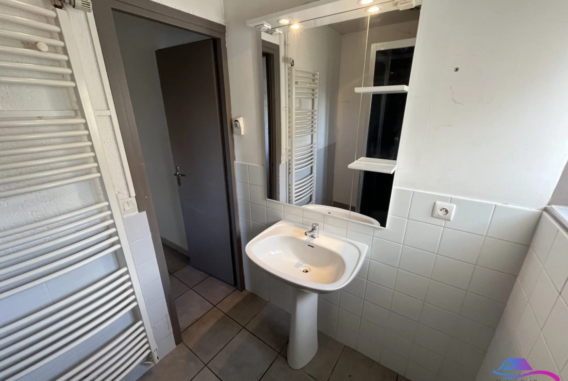 SALLE D'EAU Belle maison de campagne avec jardin et granges à Châteauaumeillant 