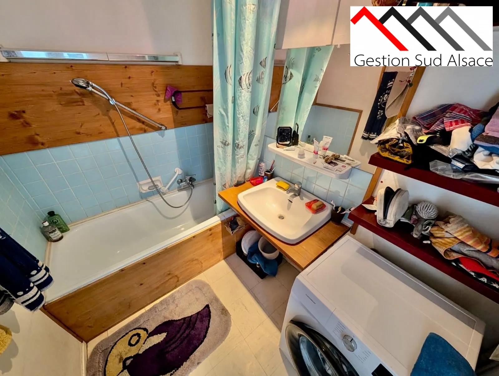 Appartement T3 à vendre à Mulhouse avec vue dégagée et emplacement privilégié 