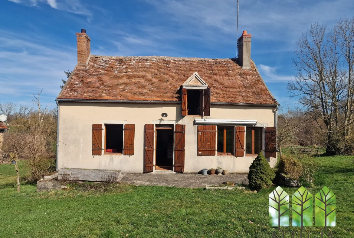 Maison en pierre avec gîte et grand terrain à Saint-Maur (18270) 
