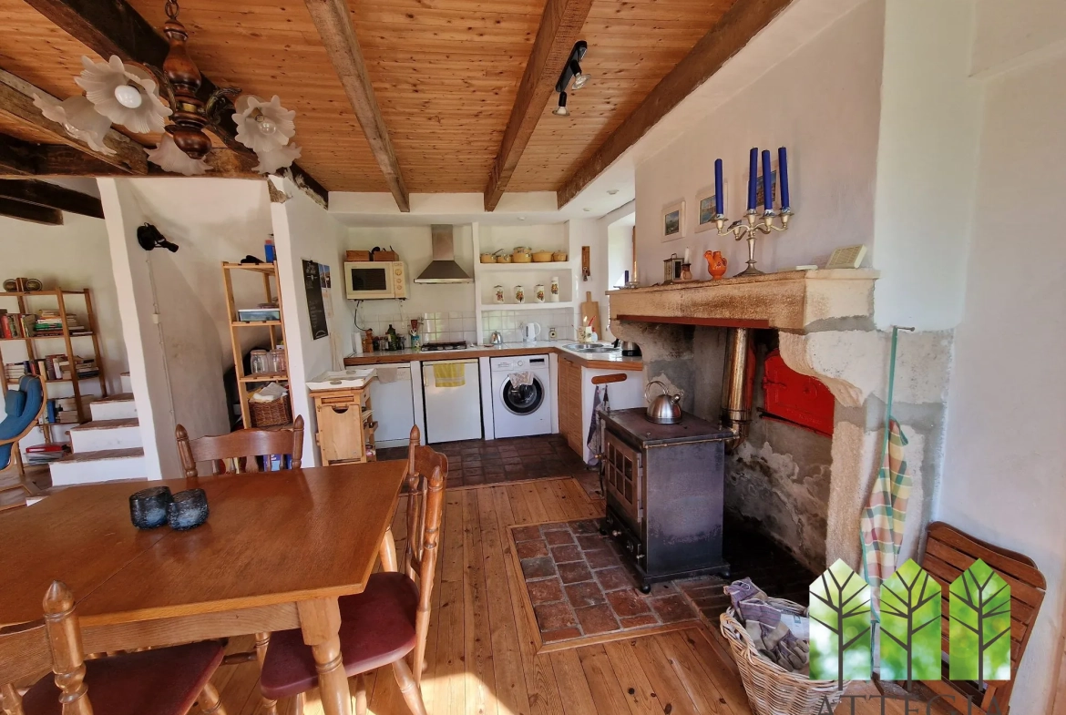 Maison en pierre avec gîte et grand terrain à Saint-Maur (18270) 