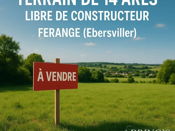 Terrain constructible de 1398 m² à Ebersviller – Idéal pour votre projet immobilier