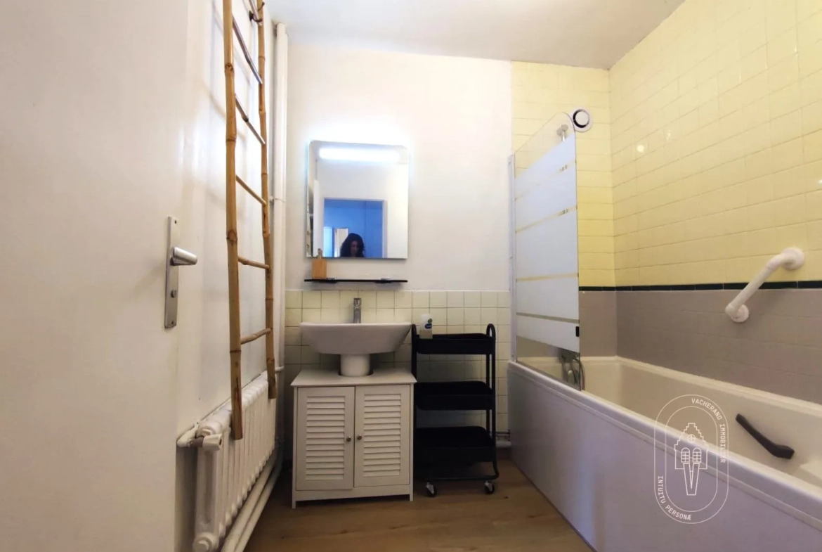 Appartement 3 pièces lumineux à Roubaix - Euroteleport 