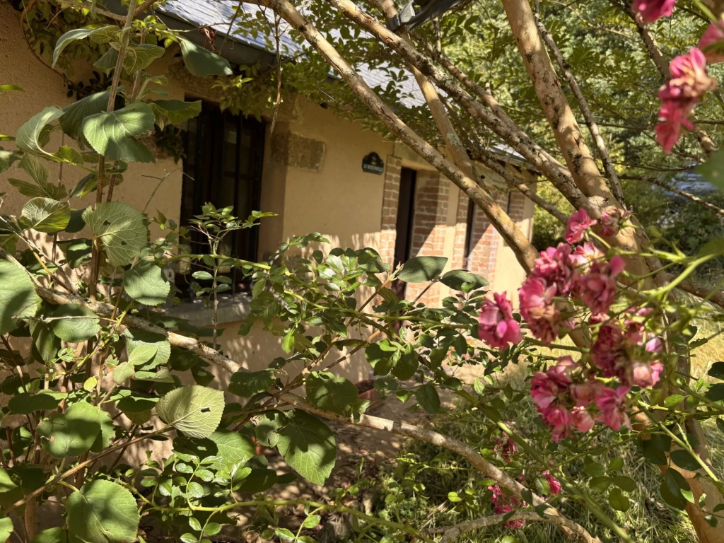 Maison ancienne de 40 m² à Sillé-le-Guillaume avec terrasse et jardin, à personnaliser