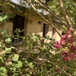 Maison ancienne de 40 m² à Sillé-le-Guillaume avec terrasse et jardin, à personnaliser
