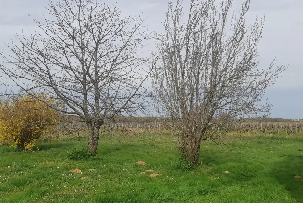 Maison de 101 m² avec grand jardin à proximité de Pons - Idéal rénovateur 