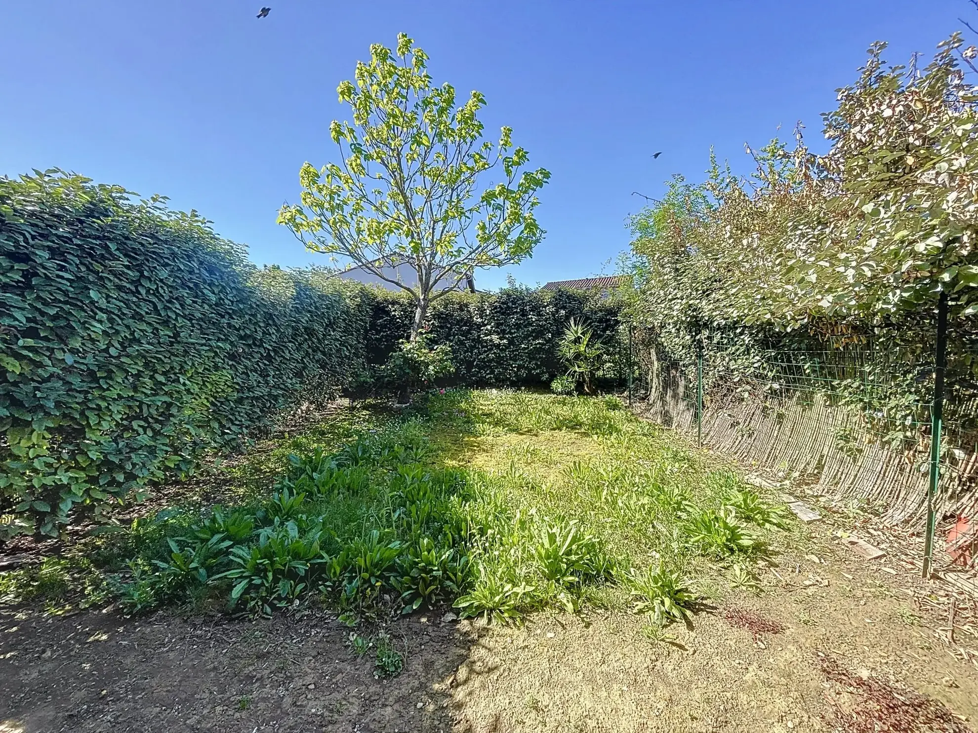 Belle maison mitoyenne avec jardin et parking à Saint-Geniès-Bellevue 