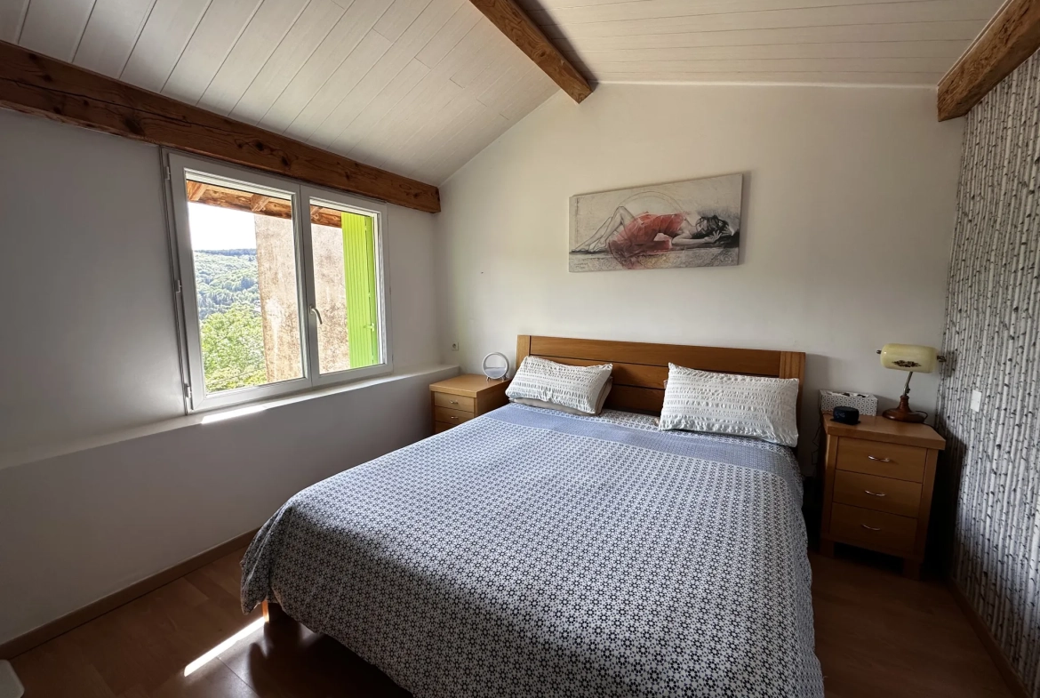 Maison avec piscine, chalet et terrain à Saint-Pons-de-Thomières 