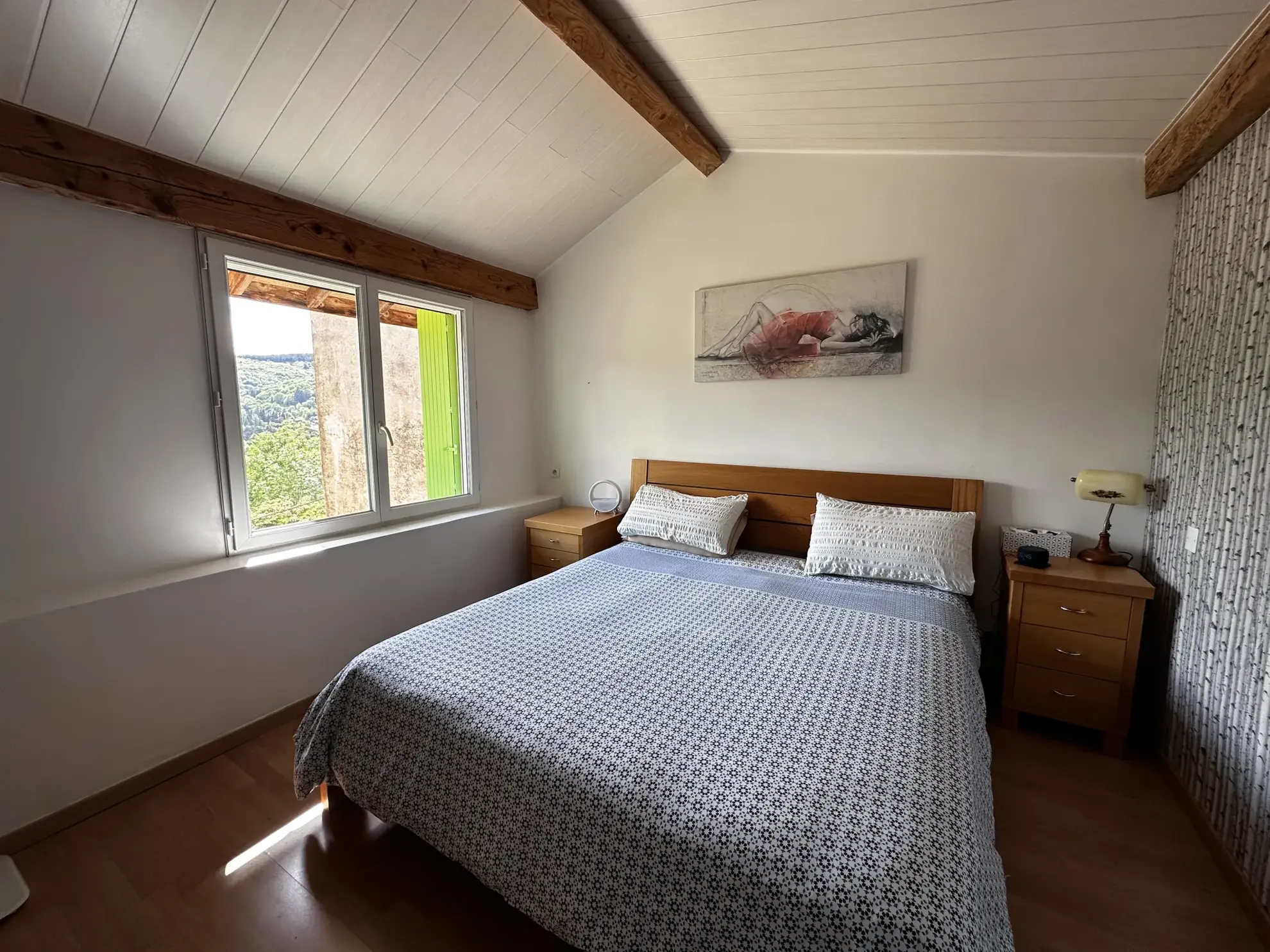 Maison avec piscine, chalet et terrain à Saint-Pons-de-Thomières 