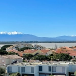 Appartement 2 pièces avec vue dégagée et piscine à Canet-en-Roussillon