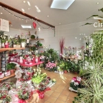 Fonds de commerce fleuriste à vendre à Saint-Simon-de-Bressieux