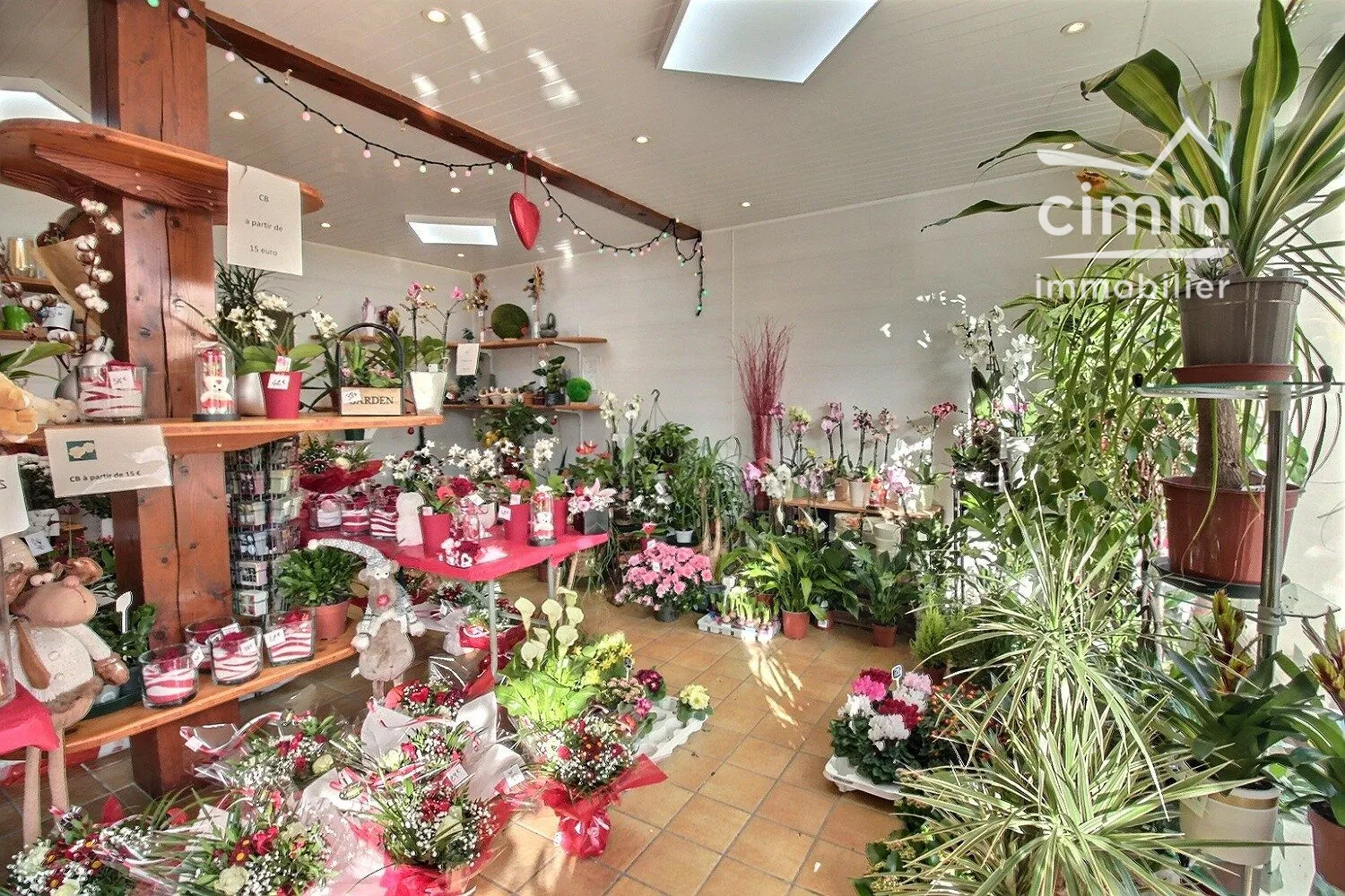 Fonds de commerce fleuriste à vendre à Saint-Simon-de-Bressieux 