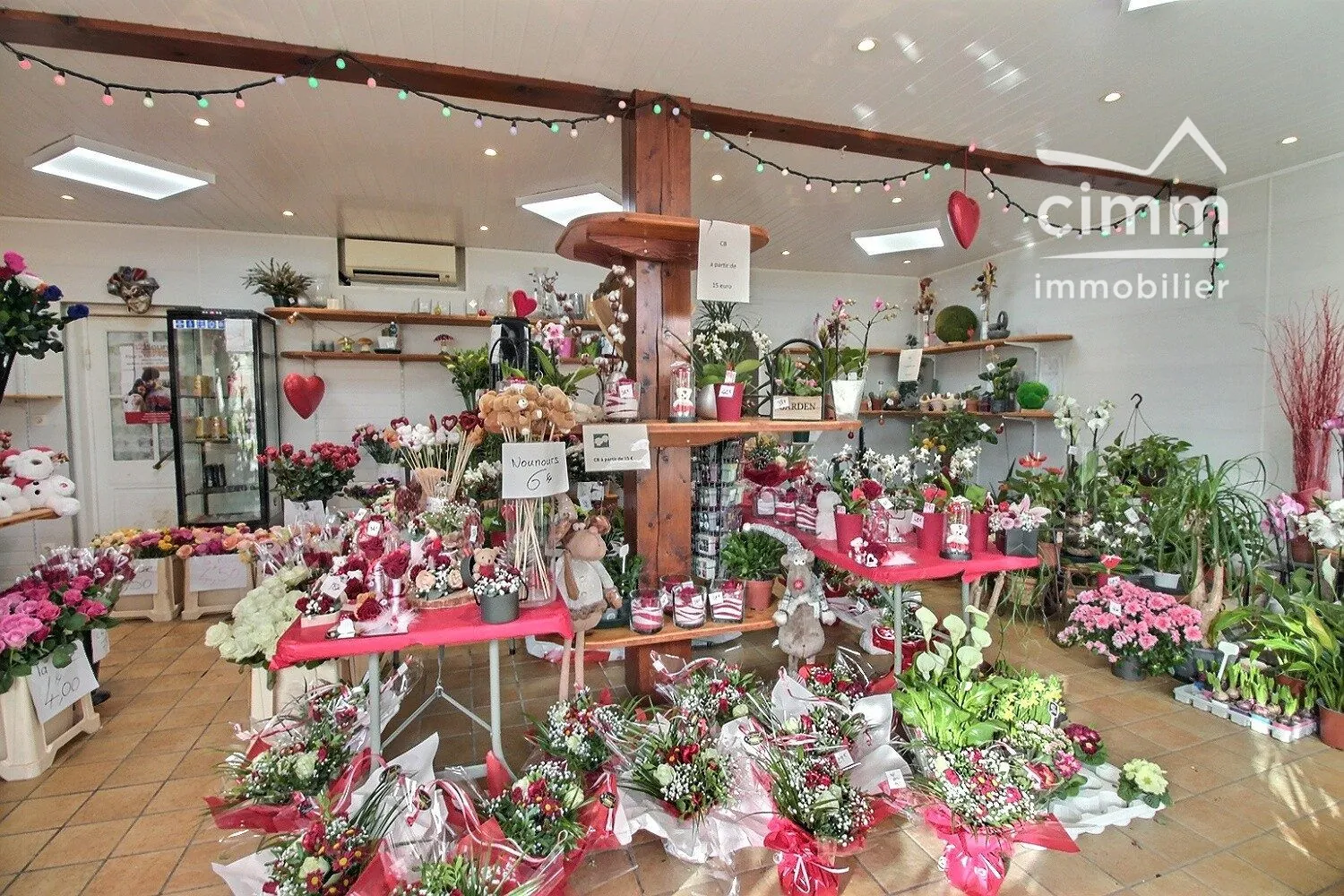 Fonds de commerce fleuriste à vendre à Saint-Simon-de-Bressieux 