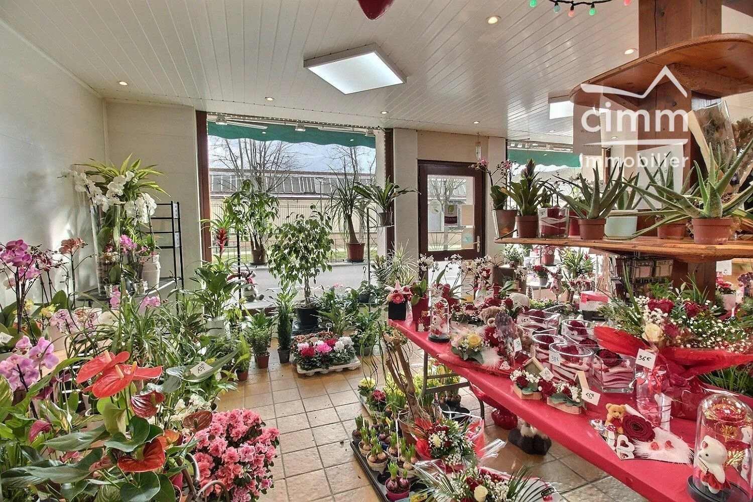 Fonds de commerce fleuriste à vendre à Saint-Simon-de-Bressieux 