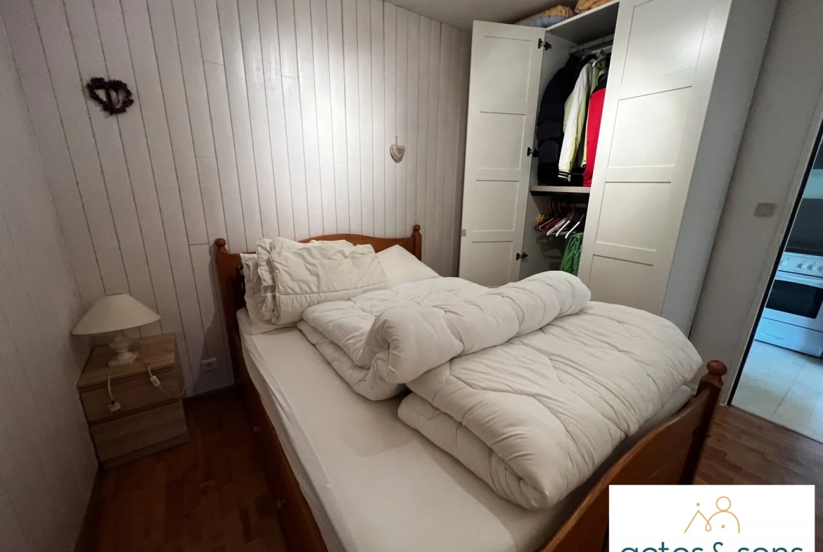 Charmant appartement T2 meublé avec balcon à Saint-Sorlin-d'Arves - Domaine des Sybelles 