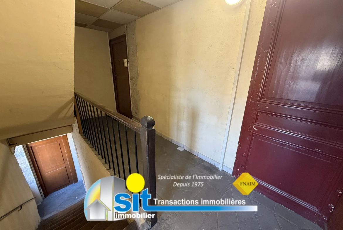 Appartement 2 pièces à Vienne centre-ville avec locataire en place 