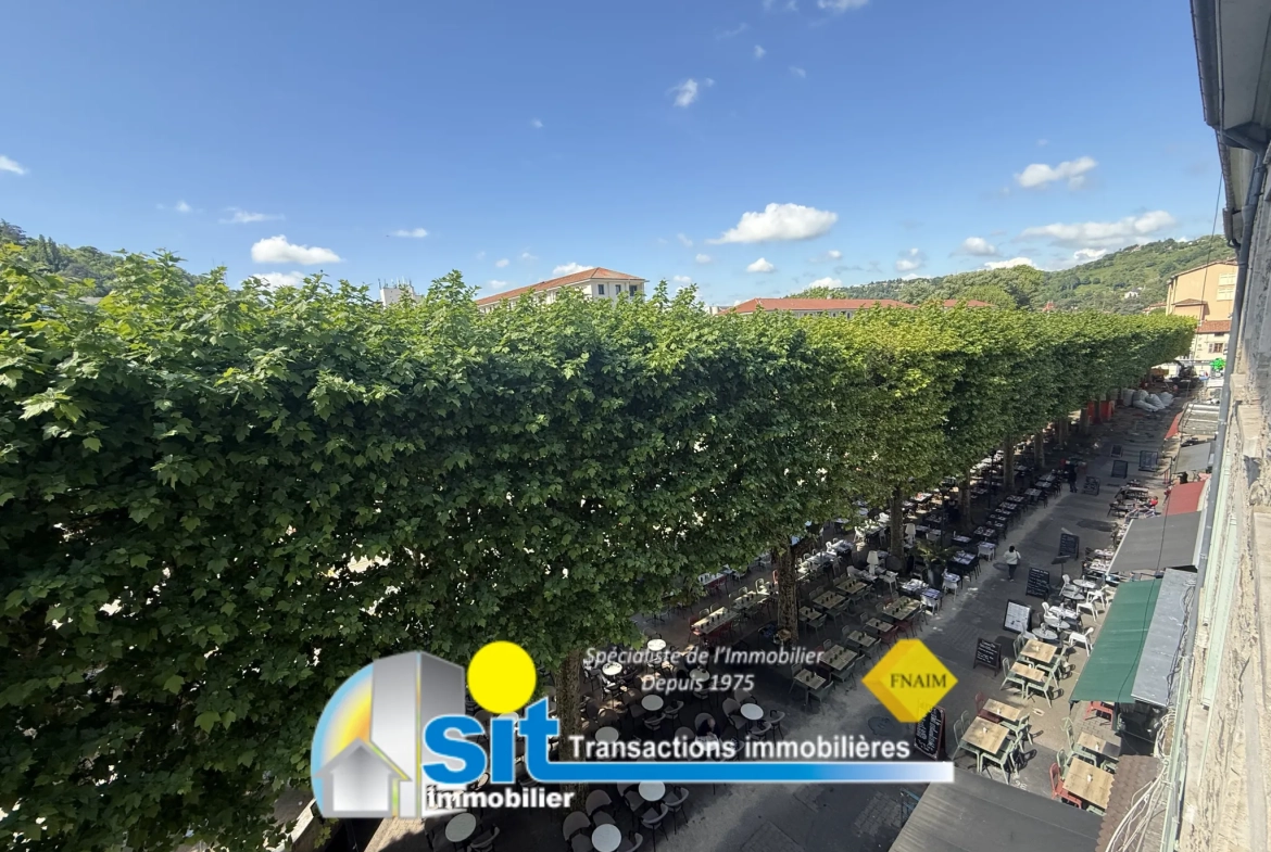 Appartement 2 pièces à Vienne centre-ville avec locataire en place 