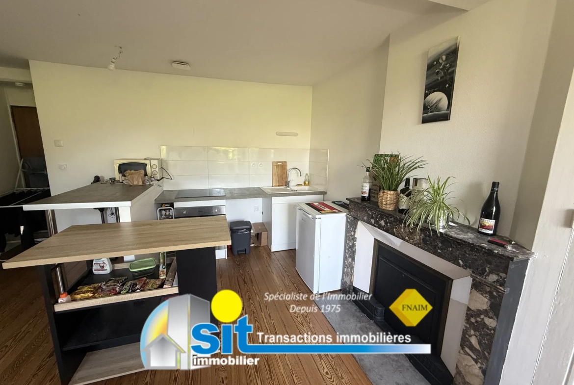 Appartement 2 pièces à Vienne centre-ville avec locataire en place 