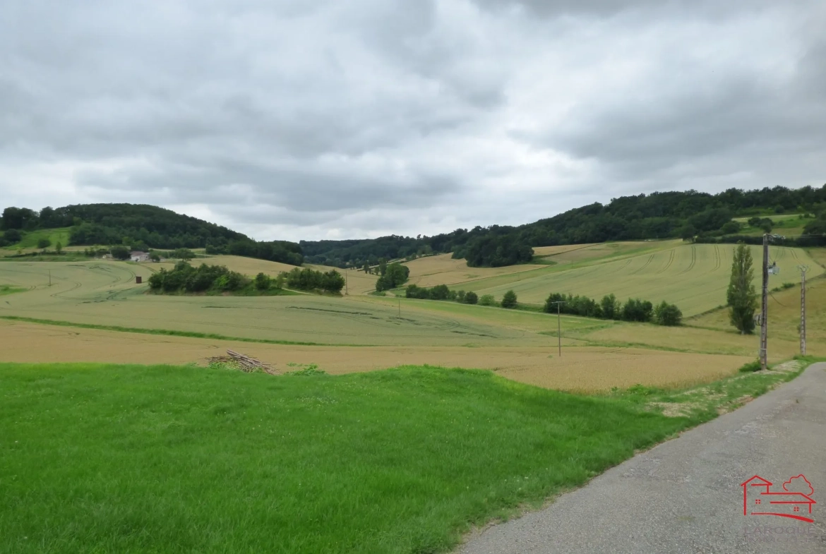 Grande grange en pierres de 400 m² à vendre près d'Agen et Villeneuve-sur-Lot 