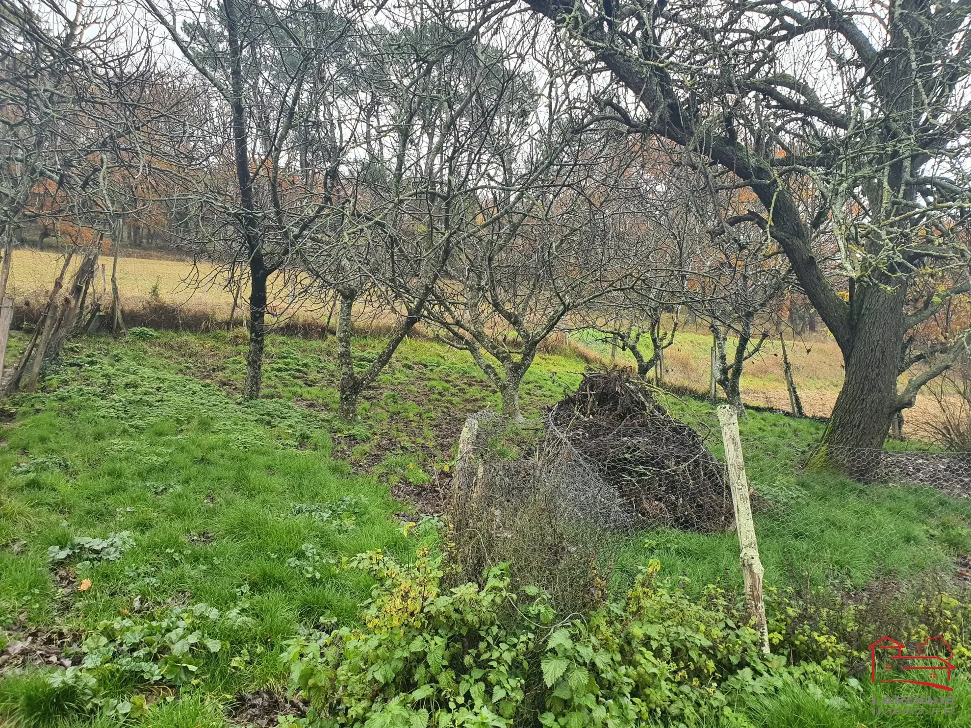 Grande grange en pierres de 400 m² à vendre près d'Agen et Villeneuve-sur-Lot 