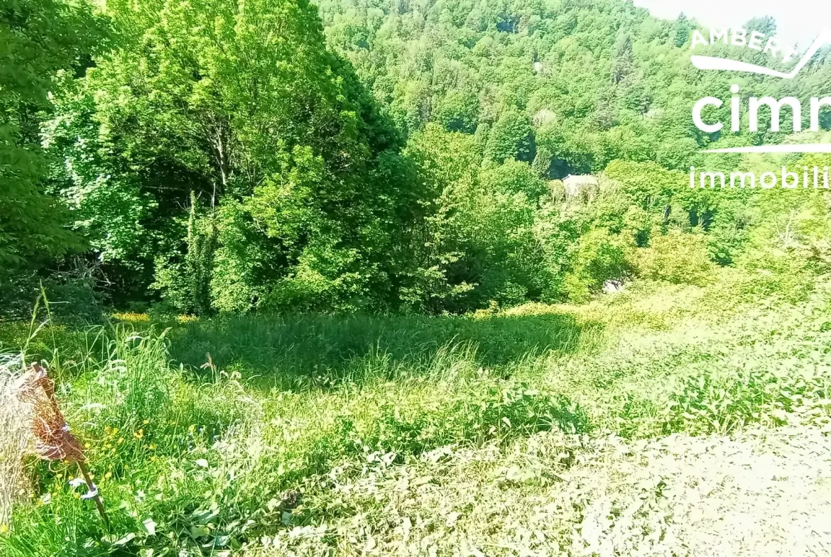 Maison à vendre à Olliergues avec garage, jardin et terrain 