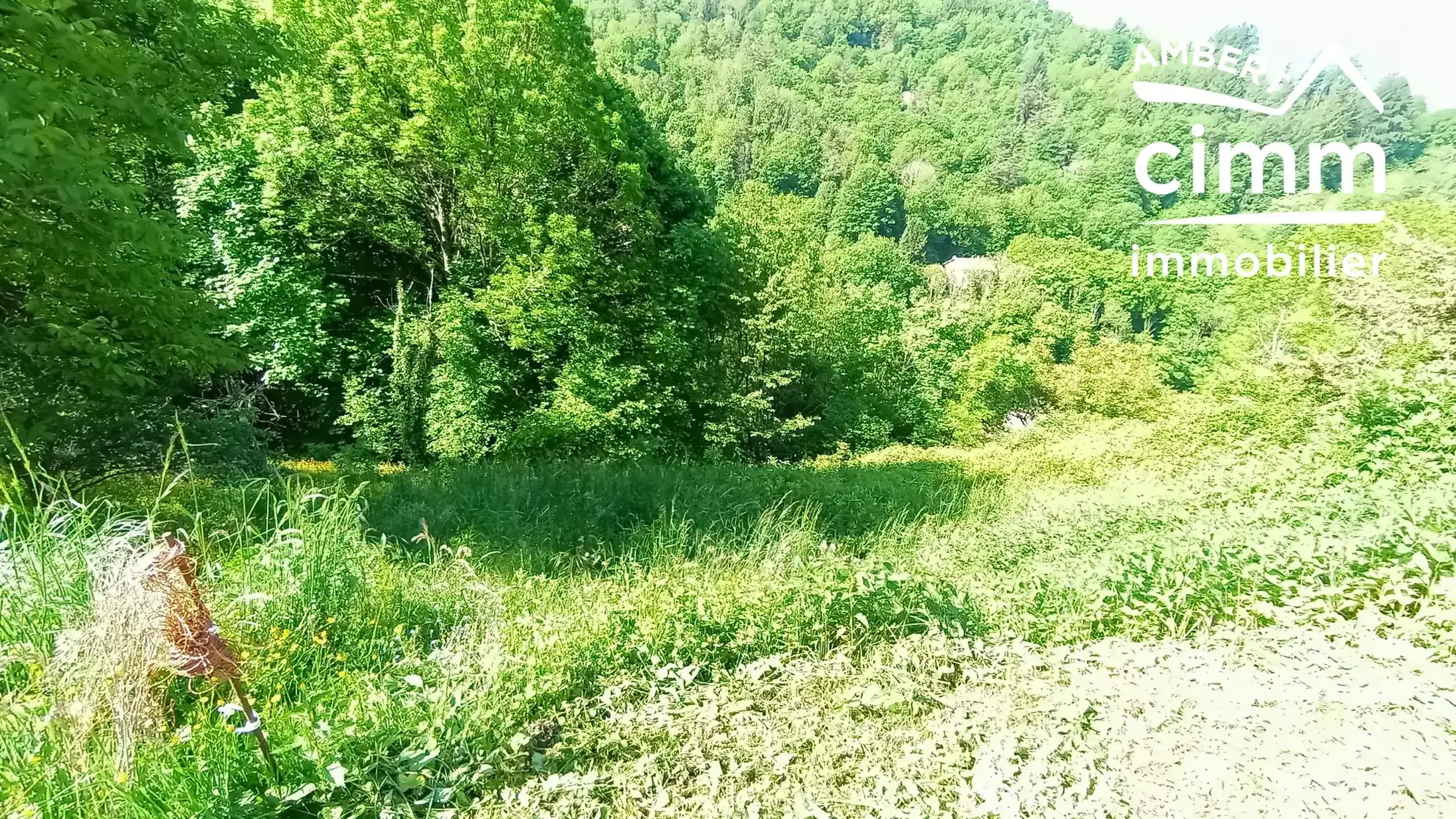 Maison à vendre à Olliergues avec garage, jardin et terrain 