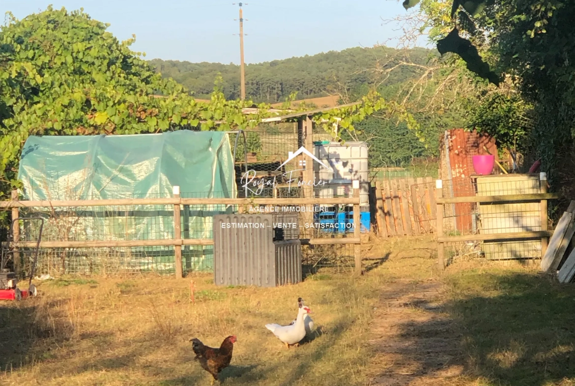 Belle maison de campagne rénovée à La Guerche (37350), proche commodités 