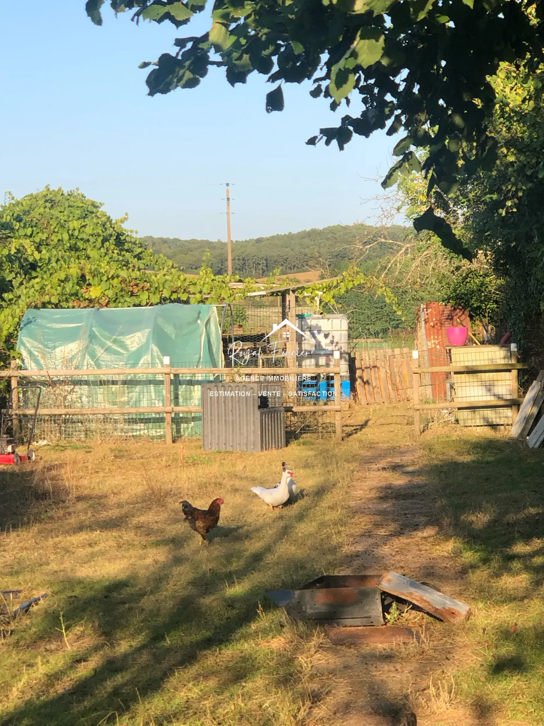 Belle maison de campagne rénovée à La Guerche (37350), proche commodités 