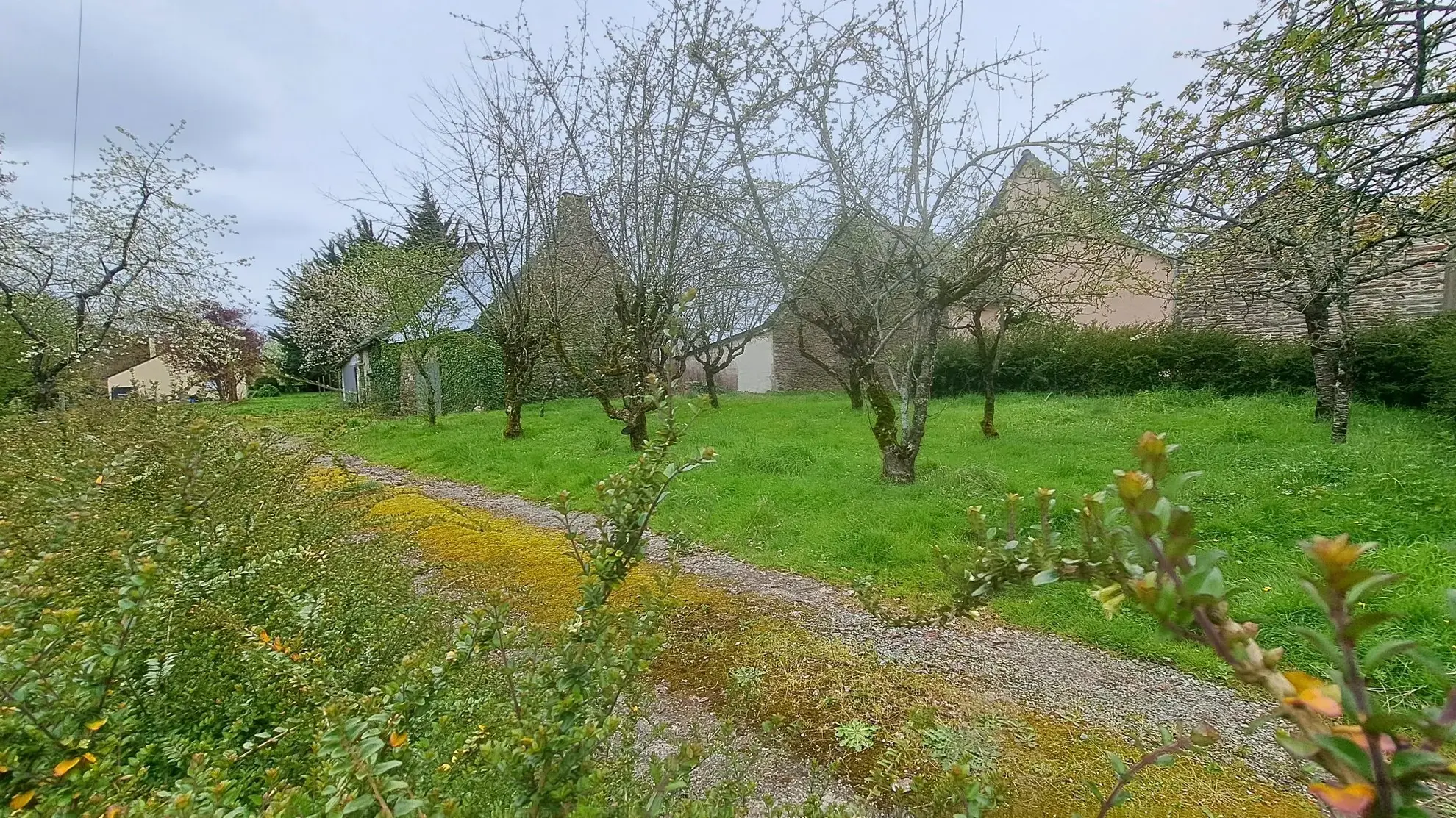 Bâtisse en pierre à rénover à Pipriac, potentiel élevé, calme et verdoyant 