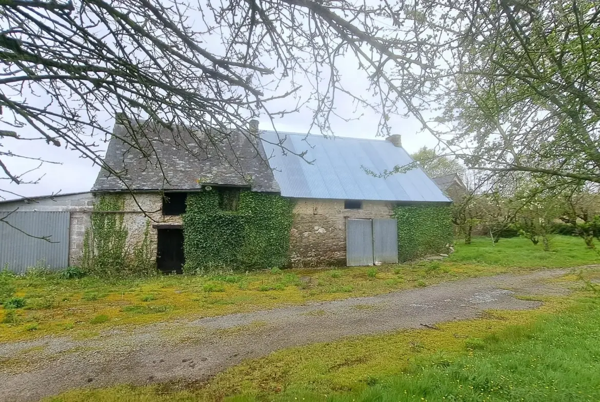 Bâtisse en pierre à rénover à Pipriac, potentiel élevé, calme et verdoyant 
