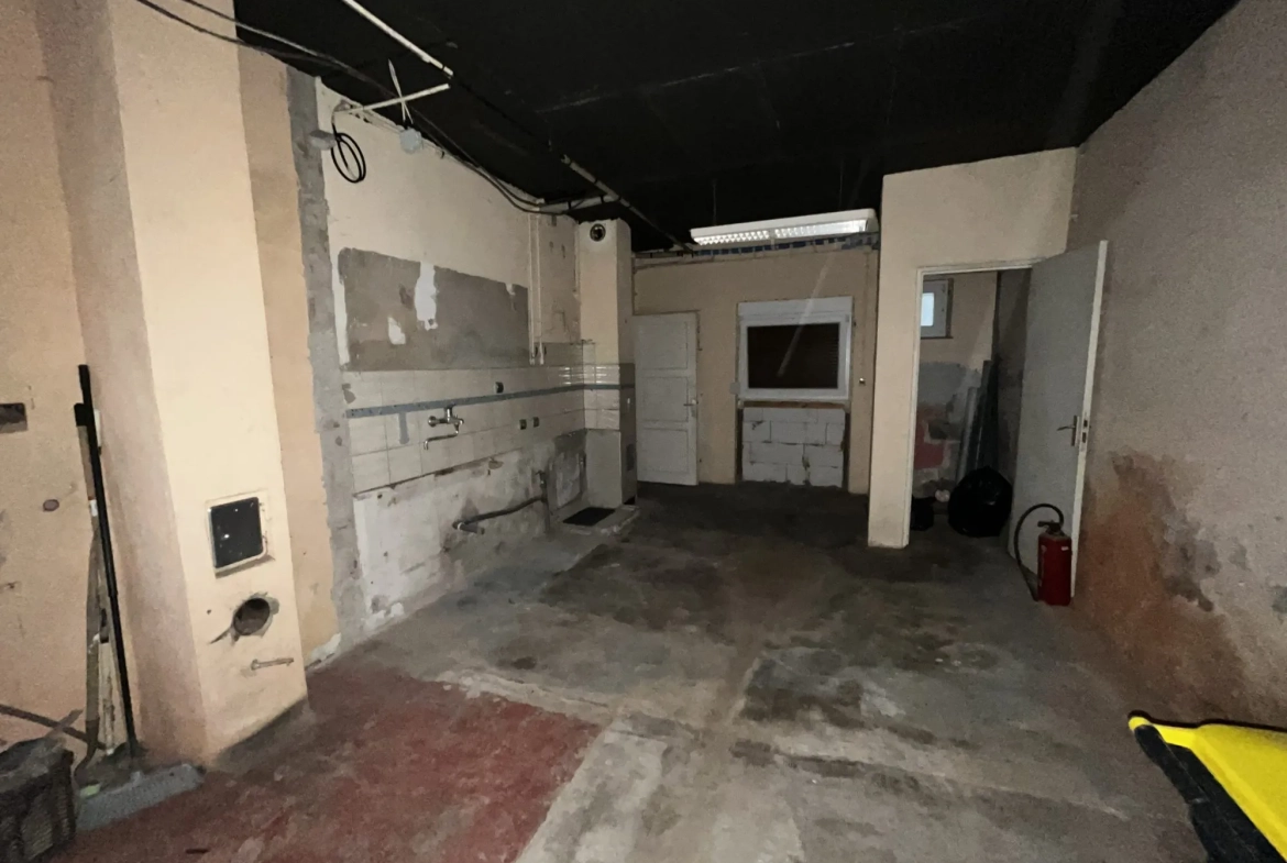 Maison à Zinswiller avec deux appartements et potentiel d'agrandissement 