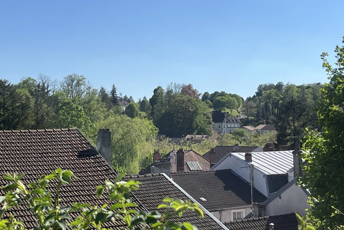 Charmante maison de ville de 186 m² avec jardin à Bourbonne-les-Bains 