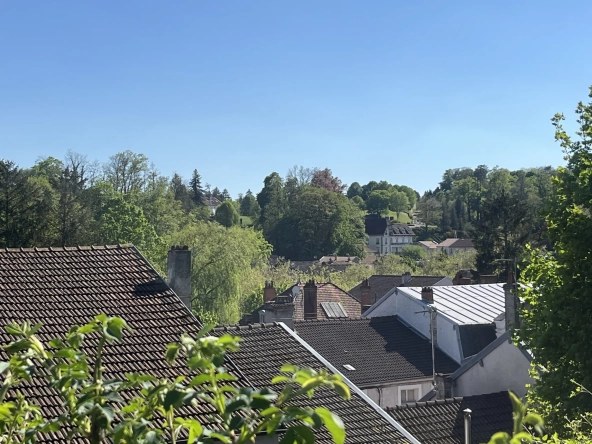 Charmante maison de ville de 186 m² avec jardin à Bourbonne-les-Bains