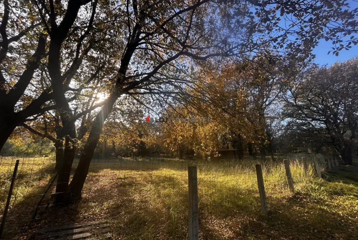 A vendre terrain agricole de 7 580 m² à Argelès-sur-Mer, parfait pour projets ruraux et équitation 