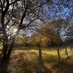 A vendre terrain agricole de 7 580 m² à Argelès-sur-Mer, parfait pour projets ruraux et équitation