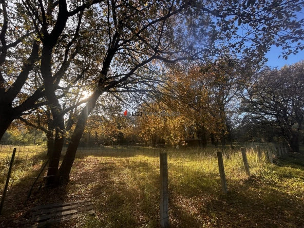 A vendre terrain agricole de 7 580 m² à Argelès-sur-Mer, parfait pour projets ruraux et équitation