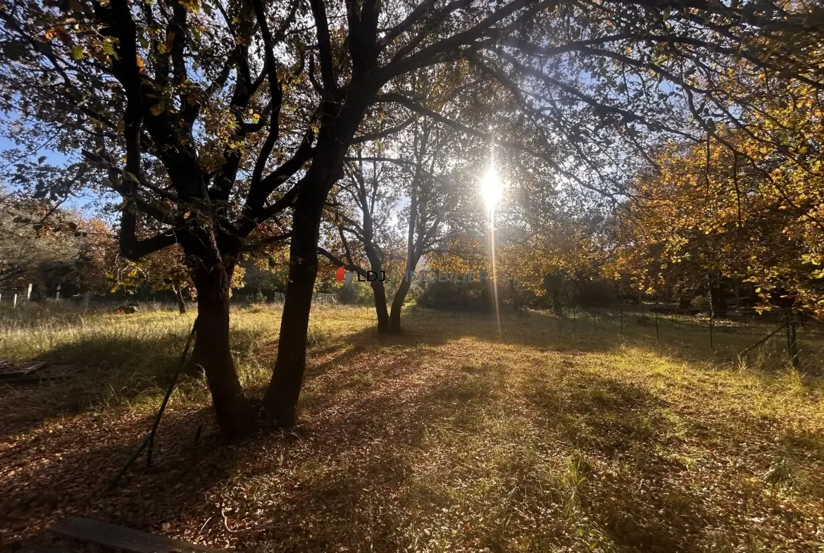 A vendre terrain agricole de 7 580 m² à Argelès-sur-Mer, parfait pour projets ruraux et équitation 